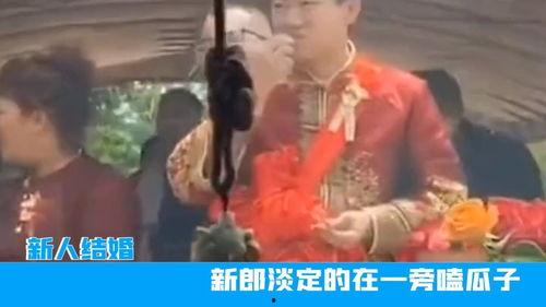 吃瓜群众的新郎,揭秘婚礼现场的甜蜜瞬间