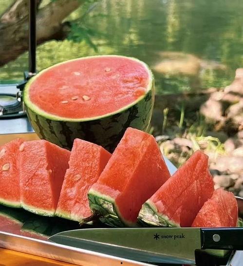 安全吃瓜头像,头像背后的健康生活智慧