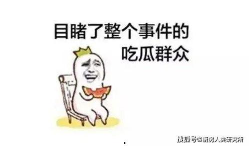 天天吃瓜的我,揭秘娱乐圈那些事儿